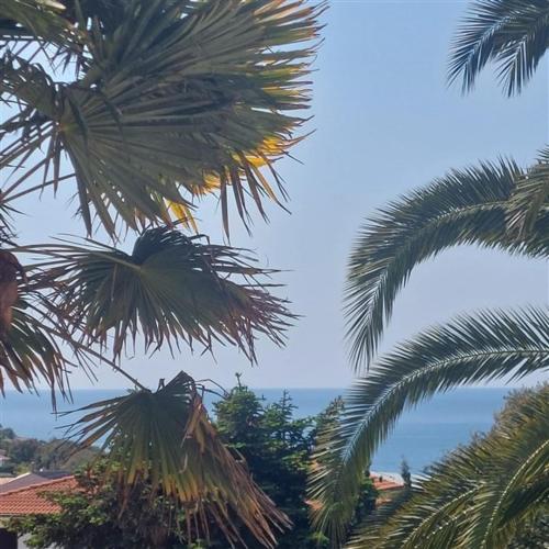 a view of the ocean from between two palm trees at Apartment Arte by in Pješčana Uvala 