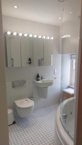 a white bathroom with a toilet and a sink at Little Juniper Lodge in Edinburgh