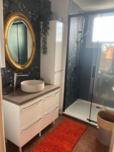 une salle de bain avec un lavabo et une douche avec un miroir dans l'établissement La belle aventure, à Rivesaltes