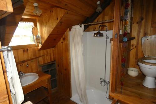 une salle de bain avec une douche, des toilettes et un lavabo dans l'établissement Chalet de Saint Dalmas, à Saint-Dalmas-le-Selvage