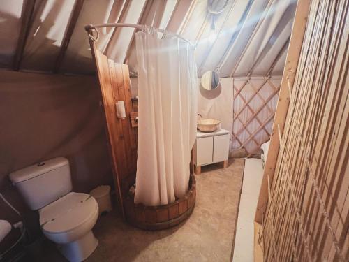 Bilik mandi di Glamping Spiritul Zimbrului
