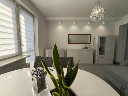 a living room with a white table and a potted plant at apartament przy cukierni in Knurów