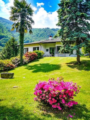 a house with pink flowers in a yard at Villa Giuliana in Cannobio