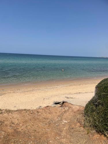 Persephone Apartment Potidea