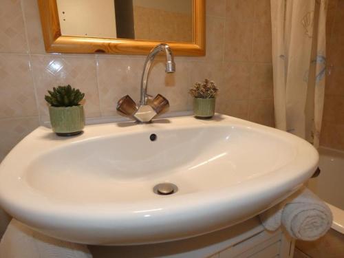 un lavabo blanc dans une salle de bain avec deux plantes dessus dans l'établissement Appartement cosy à Notre-Dame-de-Monts pour 2 personnes - FR-1-540-324, à Notre-Dame-de-Monts