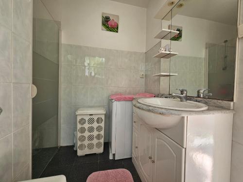 une salle de bain avec un lavabo et des toilettes dans l'établissement Maison conviviale proche plage et commerces - FR-1-476-243, à La Faute-sur-Mer