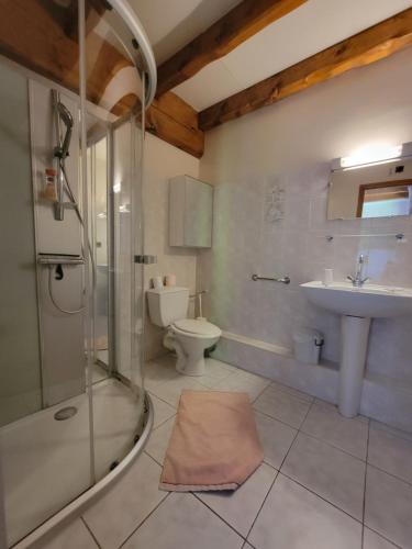 une salle de bain avec une douche, un lavabo et des toilettes dans l'établissement maison de campagne, à Le Vernet