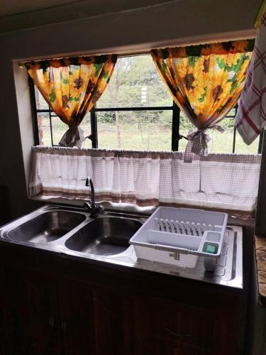a kitchen counter with a sink and a window at Jorstel in Grootvlei