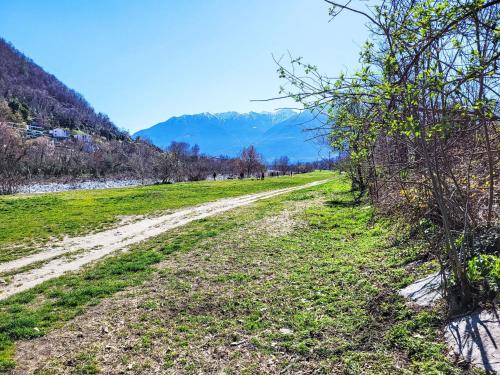 a dirt road in a field next to a river at Apartment Appartment sulle Viti by Interhome in Losone