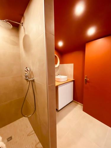 une salle de bain avec douche et lavabo dans l'établissement La P'tite Maison Vaudon, à Avize