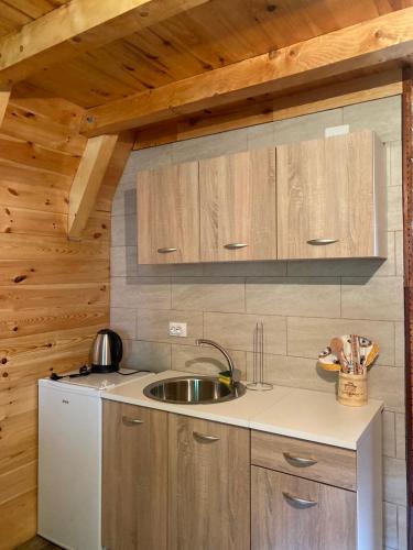 a kitchen with a sink and wooden cabinets at Guesthouse Stanisic in Mojkovac