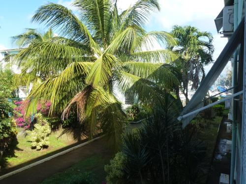 Κήπος έξω από το Bonite