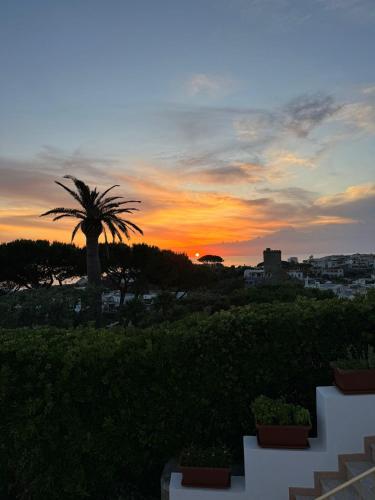 a sunset with a palm tree in the background at Villa Chiena Forio in Ischia