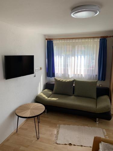 a living room with a green couch and a tv at Haus Ernestine in Sankt Urban
