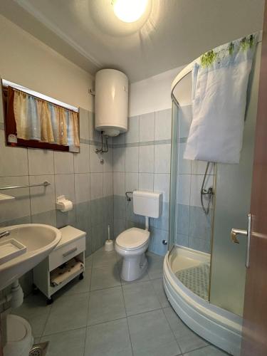 a bathroom with a toilet and a shower and a sink at Apartment Put Vidaka in Poličnik
