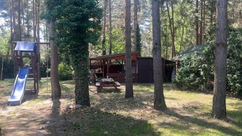 a park with a tent and a playground in the woods at Dom Letniskowy IRENA in Wielen Zaobrzanski