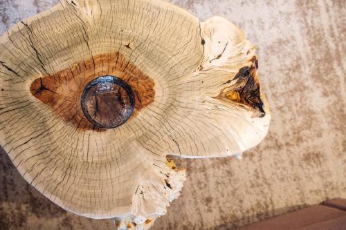 a close up of a piece of wood with at Menart Estate in Cerklje na Gorenjskem
