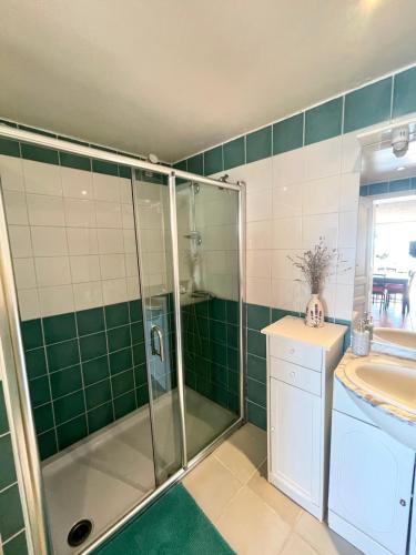 une salle de bain avec douche et lavabo dans l'établissement Charming little house with garden, stunning view, à Fayence