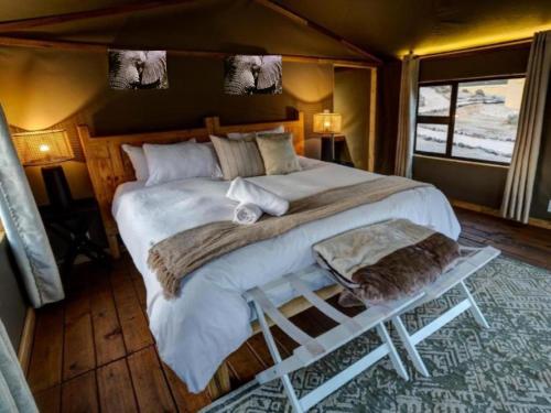 Gallery image of Livingstone's Private Tented Lodge in Swakopmund