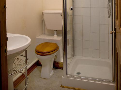 a bathroom with a toilet with a sink and a shower at Chyandaunce in Penzance