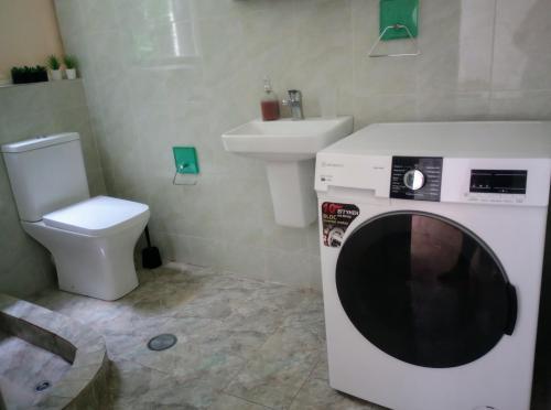Un baño con lavadora y un inodoro. en Oikia, en Nauplia