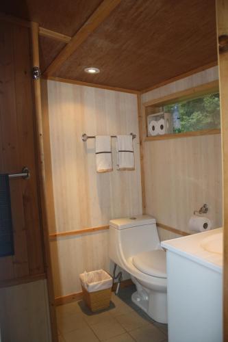 a bathroom with a toilet and a sink at Au Sommet du Fjord in Sacré-Coeur-Saguenay