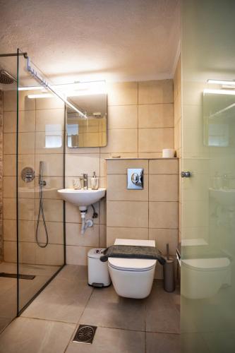 a bathroom with a toilet and a sink and a shower at Galini Apartments in Balíon