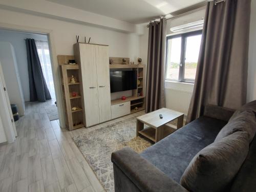 a living room with a couch and a tv at Kve Apartment in Iaşi