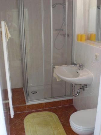 a bathroom with a shower and a sink and a toilet at Haus 'Annelies' in Kurort Rathen