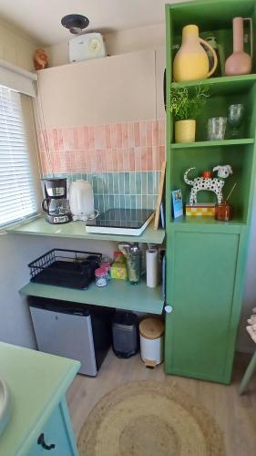 a small kitchen with a green refrigerator and shelves at De Leeuwenbergh in Boven-Leeuwen