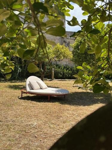 a bench sitting on the grass in a park at Suite Royale Palazzo Villani Lubelli in Cannole