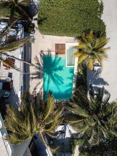 an overhead view of a swimming pool with palm trees at Hotel La Casa Cielo solo adultos in El Cuyo