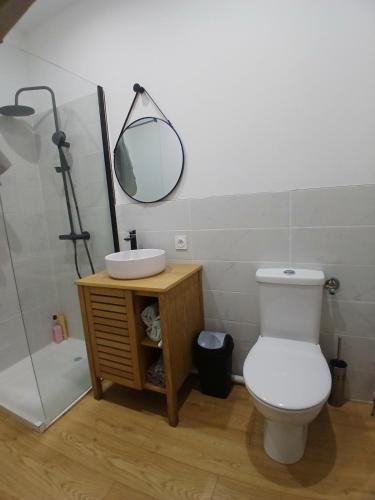 une salle de bain avec toilettes, lavabo et miroir dans l'établissement le Notre dame-Centre ville-Gare, à Nîmes