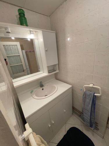 une petite salle de bain avec un lavabo et un miroir dans l'établissement Maison bord rivière avec accès ponton Beaumont sur sarthe, à Beaumont-sur-Sarthe