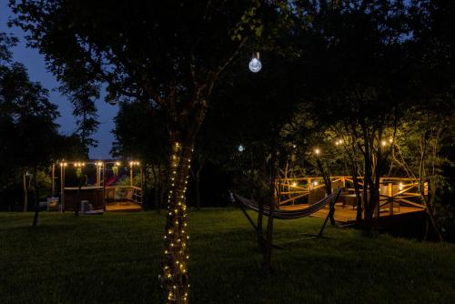 a tree with lights on it in a park at night at Forrest Houses Bartosze in Bartosze
