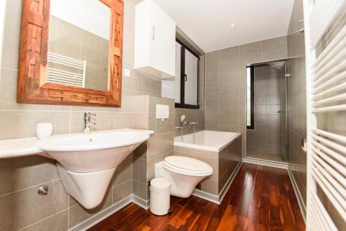 a bathroom with a sink toilet and a mirror at Villa Simon2 in Veliko Brdo