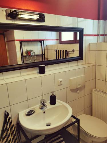 a bathroom with a sink and a toilet and a mirror at Bergmanns Lieblingsplatz in Freiberg