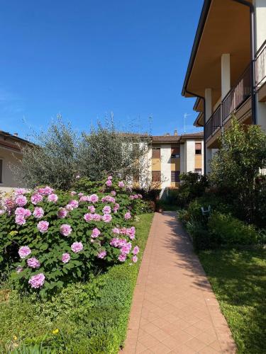 a garden of pink roses next to a building at Green Park House in Valeggio sul Mincio