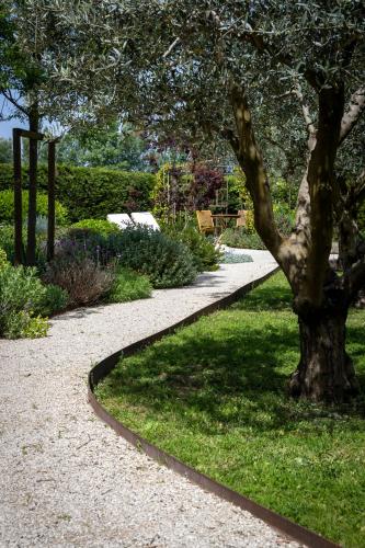 a walkway in a park with a tree and grass at Mas des Cèdres in Ménerbes
