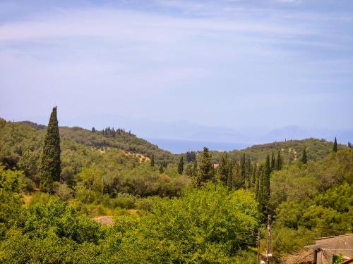 a view of a forest of trees and a mountain at Villa Parselina in Ágios Ilías