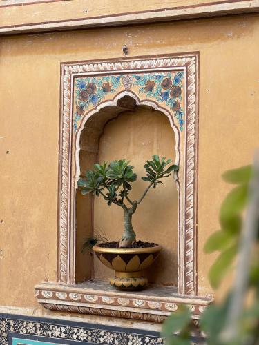 a plant in a pot on the side of a building at Mandawa Kothi in Mandāwa