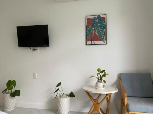 a living room with a tv on a wall with plants at Căn hộ c414 in Ấp Phú Tịnh (2)