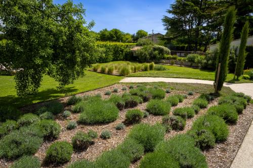 a garden with bushes and trees and a sidewalk at Mas des Cèdres in Ménerbes