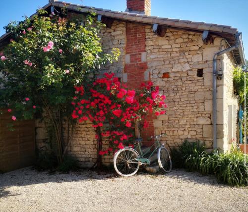 Chalet Nature & chiens de traîneaux