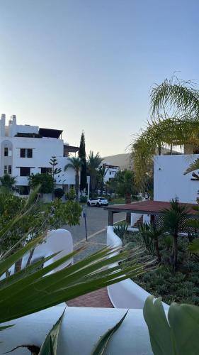 a row of white chairs and palm trees and buildings at La Cassia in Cabo Negro