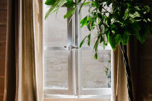 Unique character apartment - heart of Avignon - quiet & charming photo 16