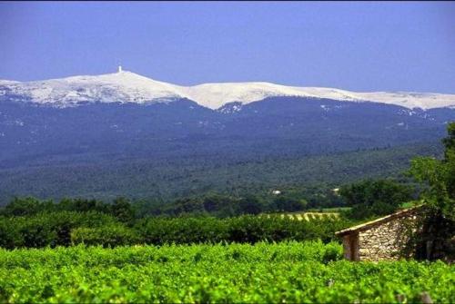 a mountain with snow capped mountains in the distance at Logis Hôtel restaurant des Pins in Bédoin