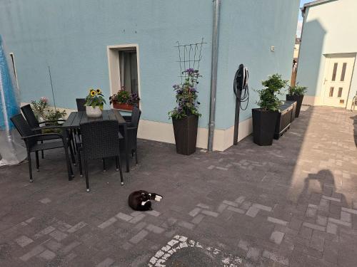 a cat laying on a patio with a table and chairs at Ferienwohnung Classic in Radeberg