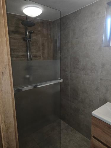 a shower with a glass door in a bathroom at Apartmán Juraj Čarný in Michalovce