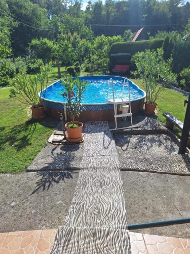 a swimming pool in a yard with potted plants at Chata Mária in Bojná